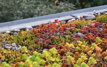 the cost of Elsrickle green roof installation