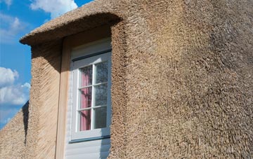Elsrickle thatch roof disadvantages